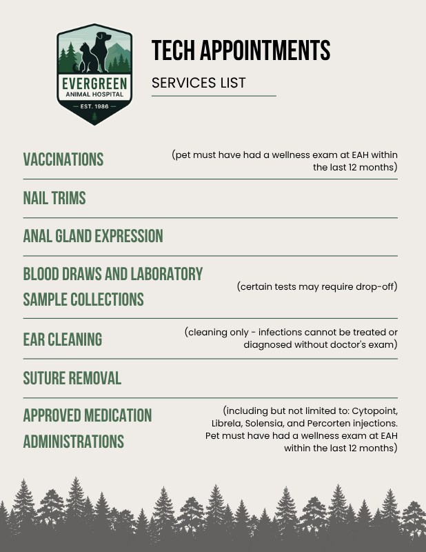 tech appointments services flyer